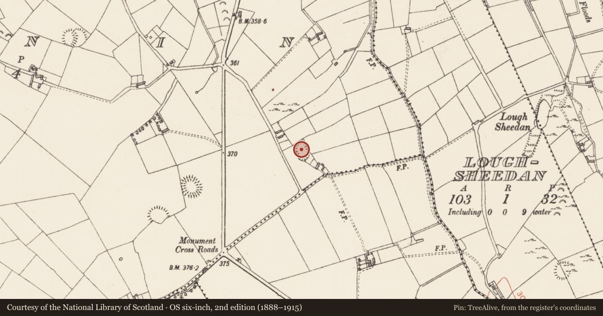 Ordnance Survey six-inch map, 2nd edition (1888–1915) covering the location of Enclosure, Mornin, County Longford, with a pin at the register's coordinates