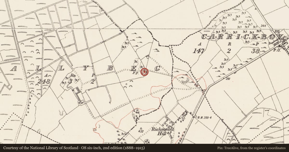 Ordnance Survey six-inch map, 2nd edition (1888–1915) covering the location of Designed landscape - tree-ring, Ballybeg, County Longford, with a pin at the register's coordinates