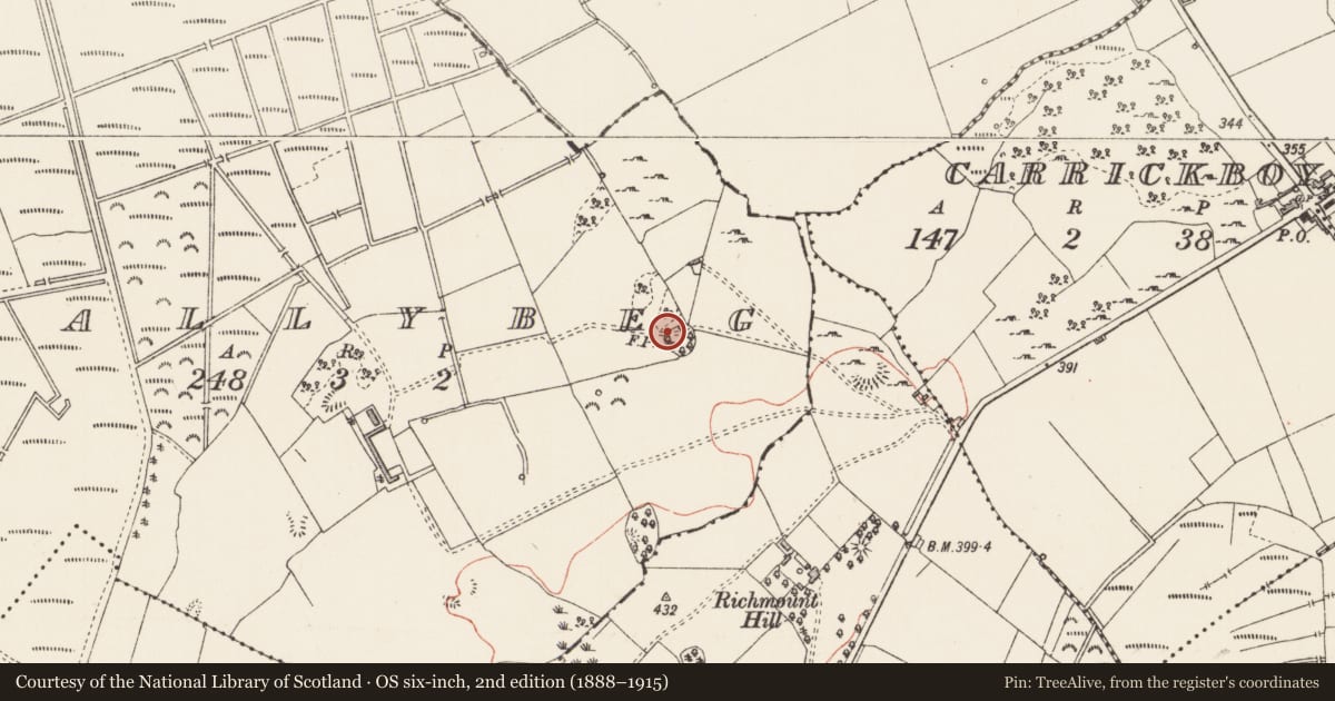 Ordnance Survey six-inch map, 2nd edition (1888–1915) covering the location of Enclosure, Ballybeg, County Longford, with a pin at the register's coordinates