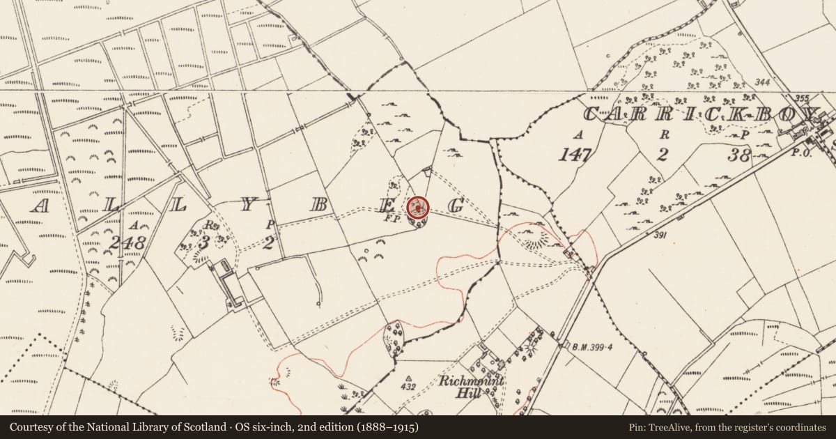 Ordnance Survey six-inch map, 2nd edition (1888–1915) covering the location of Enclosure, Ballybeg, County Longford, with a pin at the register's coordinates
