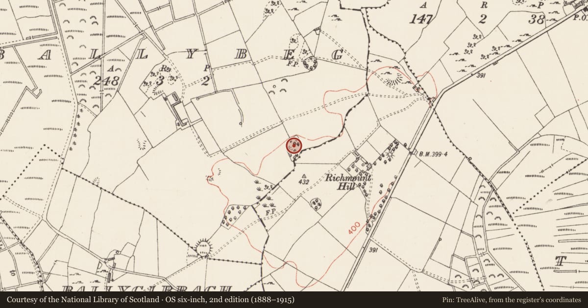 Ordnance Survey six-inch map, 2nd edition (1888–1915) covering the location of Designed landscape feature, Ballybeg, County Longford, with a pin at the register's coordinates