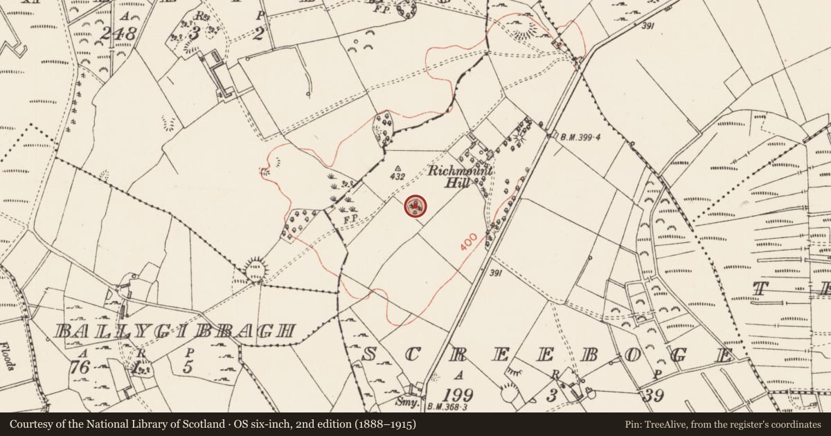 Ordnance Survey six-inch map, 2nd edition (1888–1915) covering the location of Ringfort - rath, Screeboge, County Longford, with a pin at the register's coordinates