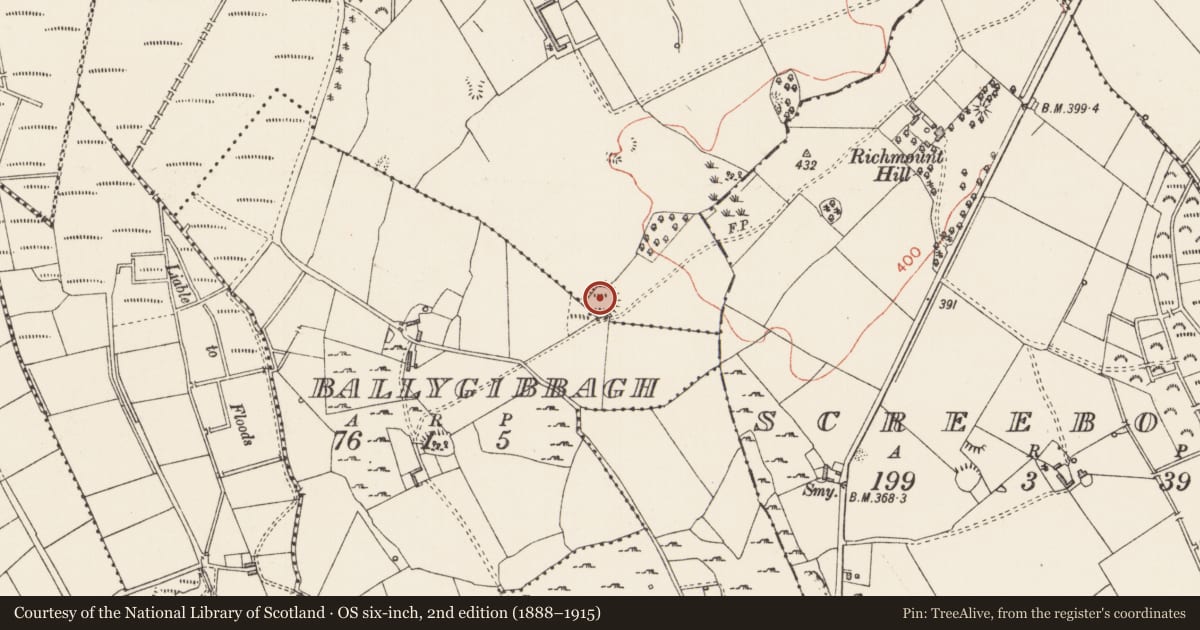 Ordnance Survey six-inch map, 2nd edition (1888–1915) covering the location of Ringfort - rath, Ballybeg, Ballygibbagh, County Longford, with a pin at the register's coordinates
