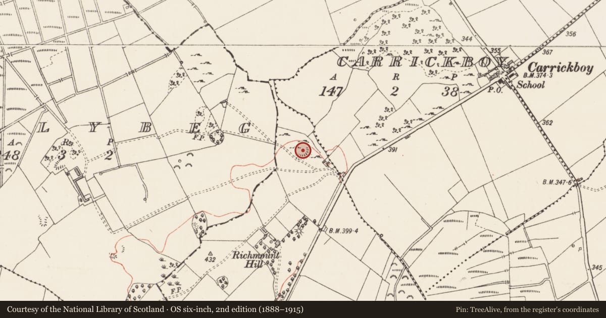 Ordnance Survey six-inch map, 2nd edition (1888–1915) covering the location of Ringfort - rath, Screeboge, County Longford, with a pin at the register's coordinates