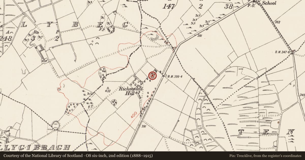 Ordnance Survey six-inch map, 2nd edition (1888–1915) covering the location of Castle - motte, Screeboge, County Longford, with a pin at the register's coordinates