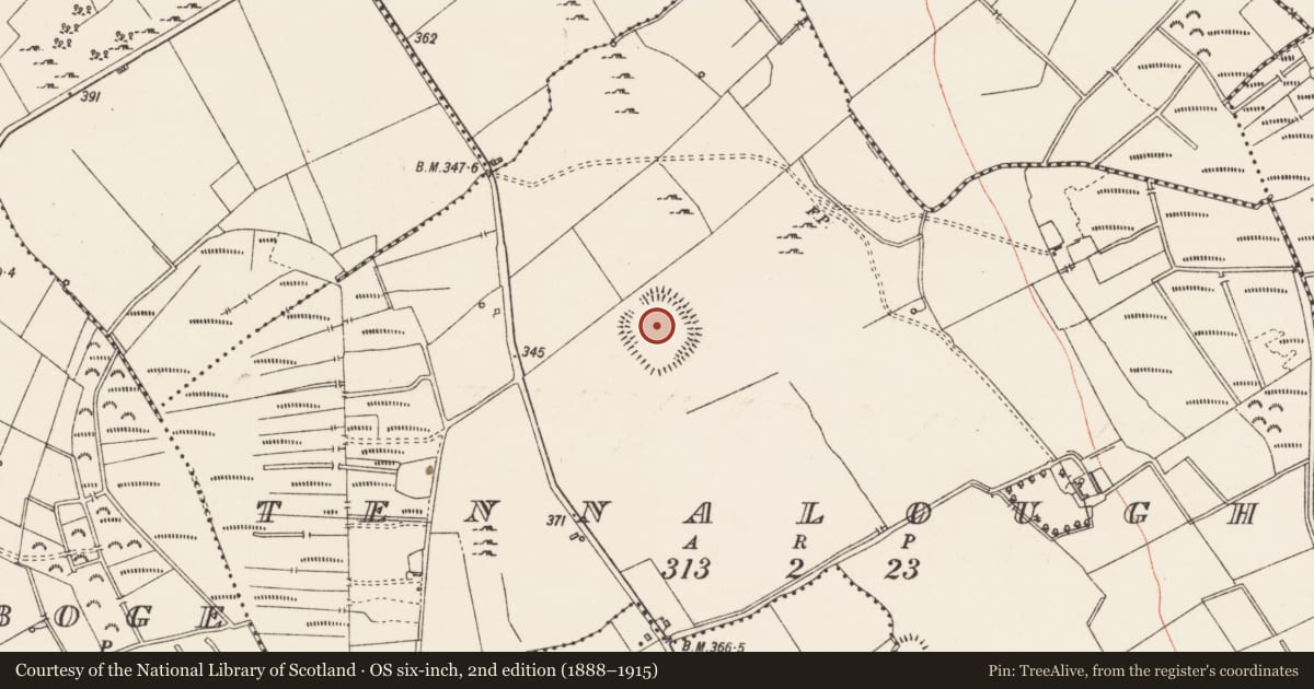 Ordnance Survey six-inch map, 2nd edition (1888–1915) covering the location of House - indeterminate date, Tennalough, County Longford, with a pin at the register's coordinates