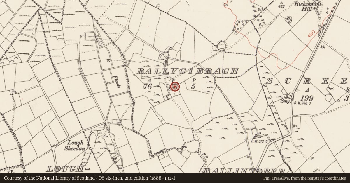 Ordnance Survey six-inch map, 2nd edition (1888–1915) covering the location of Ringfort - rath, Ballygibbagh, County Longford, with a pin at the register's coordinates