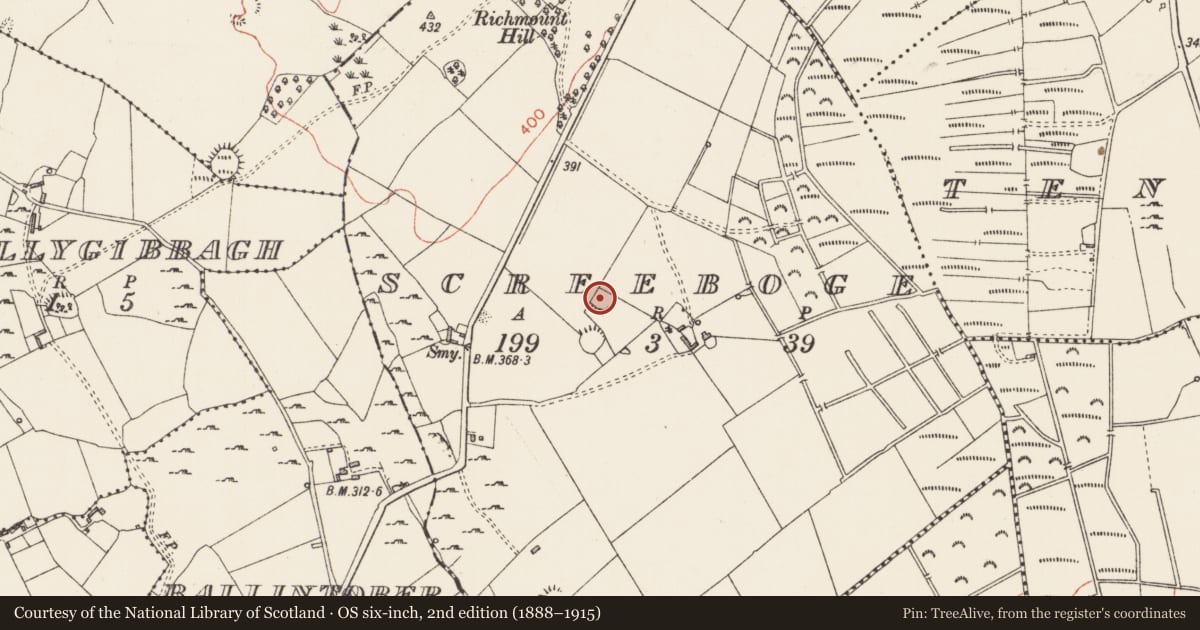 Ordnance Survey six-inch map, 2nd edition (1888–1915) covering the location of Ringfort - rath, Screeboge, County Longford, with a pin at the register's coordinates