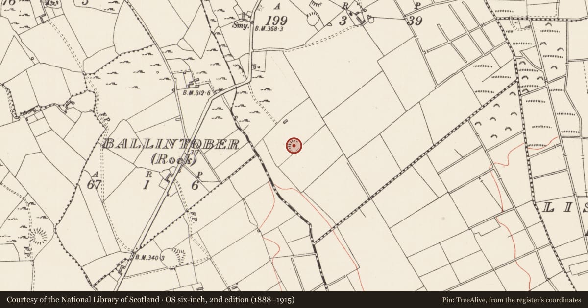 Ordnance Survey six-inch map, 2nd edition (1888–1915) covering the location of Ringfort - rath, Screeboge, County Longford, with a pin at the register's coordinates
