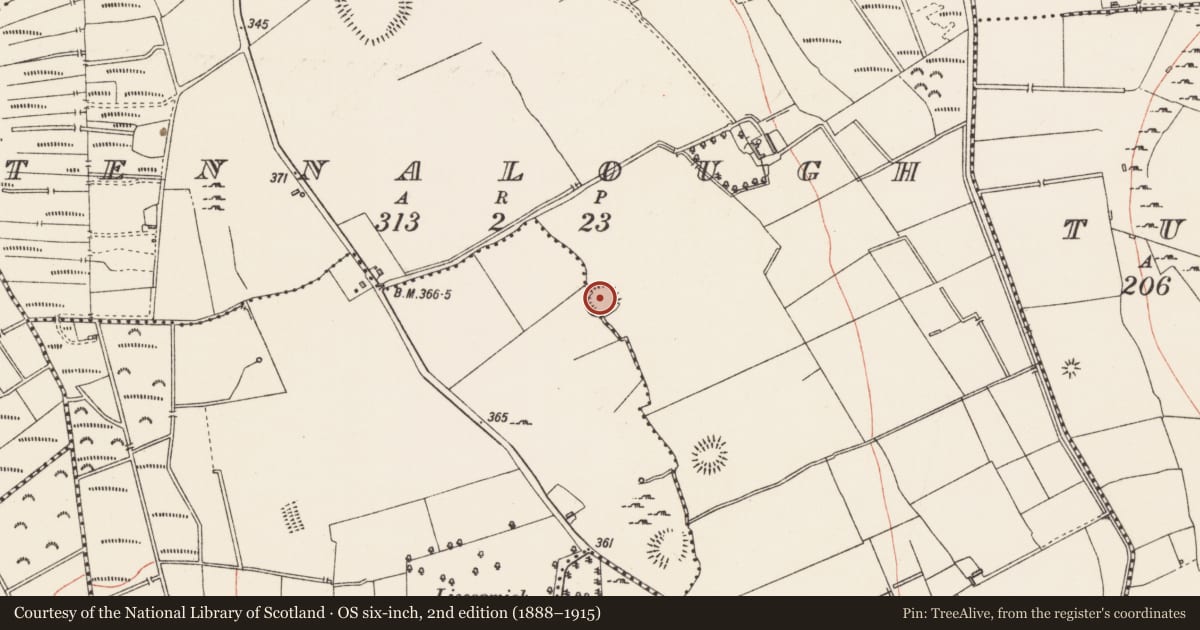 Ordnance Survey six-inch map, 2nd edition (1888–1915) covering the location of Ringfort - rath, Liscormick, Tennalough, County Longford, with a pin at the register's coordinates