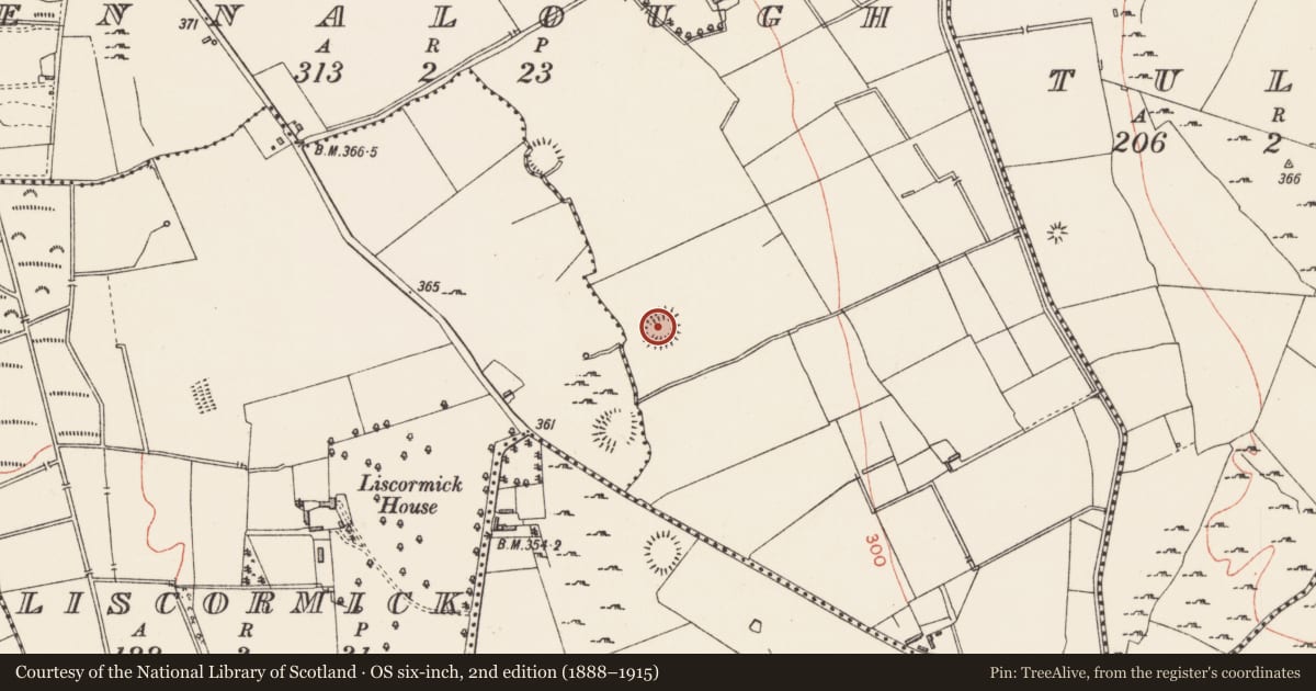 Ordnance Survey six-inch map, 2nd edition (1888–1915) covering the location of Ringfort - rath, Tennalough, County Longford, with a pin at the register's coordinates