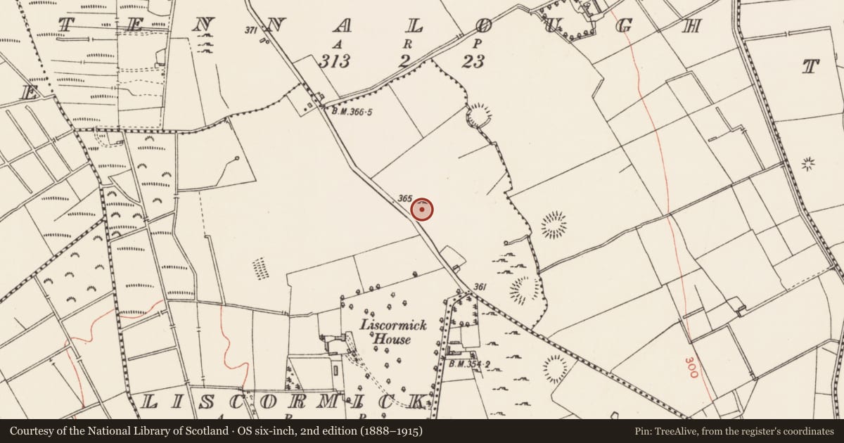 Ordnance Survey six-inch map, 2nd edition (1888–1915) covering the location of Ringfort - rath, Liscormick, County Longford, with a pin at the register's coordinates