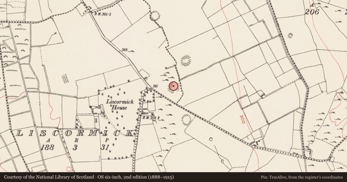 Ordnance Survey six-inch map, 2nd edition (1888–1915) covering the location of Ringfort - rath, Liscormick, County Longford, with a pin at the register's coordinates