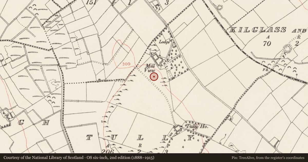 Ordnance Survey six-inch map, 2nd edition (1888–1915) covering the location of Ringfort - rath, Tully, County Longford, with a pin at the register's coordinates