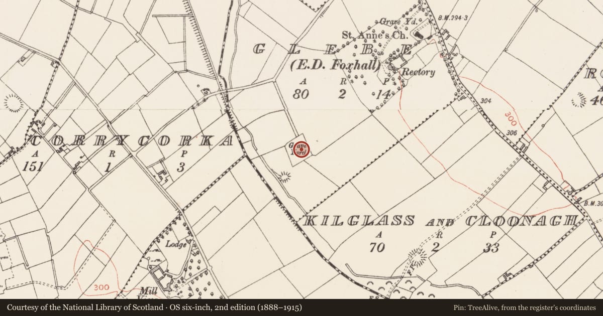 Ordnance Survey six-inch map, 2nd edition (1888–1915) covering the location of Graveyard, Glebe, County Longford, with a pin at the register's coordinates