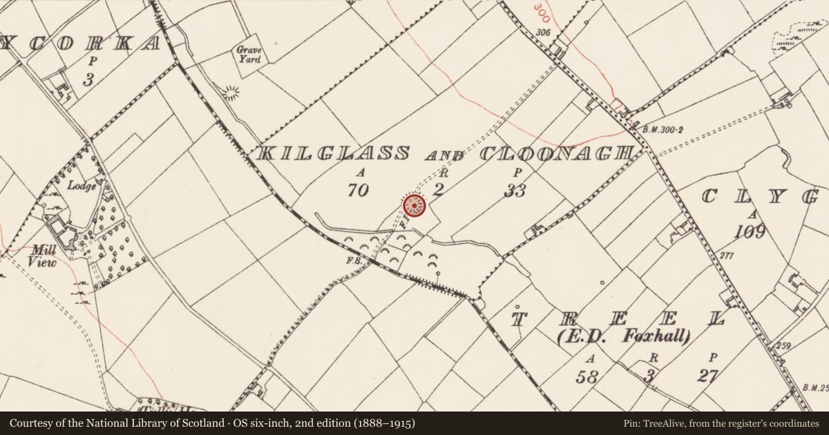 Ordnance Survey six-inch map, 2nd edition (1888–1915) covering the location of Ringfort - rath, Kilglass And Cloonagh, County Longford, with a pin at the register's coordinates