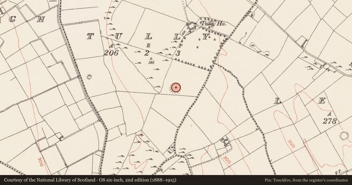 Ordnance Survey six-inch map, 2nd edition (1888–1915) covering the location of Ringfort - rath, Tully, County Longford, with a pin at the register's coordinates