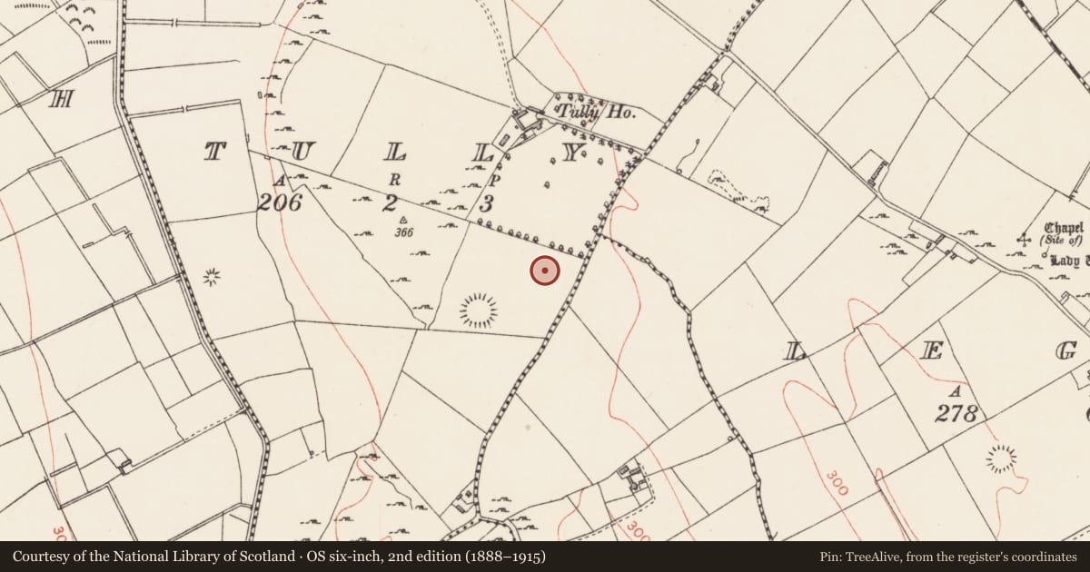 Ordnance Survey six-inch map, 2nd edition (1888–1915) covering the location of Ringfort - rath, Tully, County Longford, with a pin at the register's coordinates