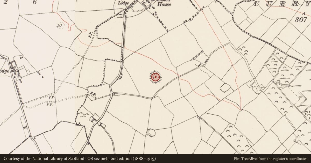 Ordnance Survey six-inch map, 2nd edition (1888–1915) covering the location of Ringfort - rath, Lislea, County Longford, with a pin at the register's coordinates