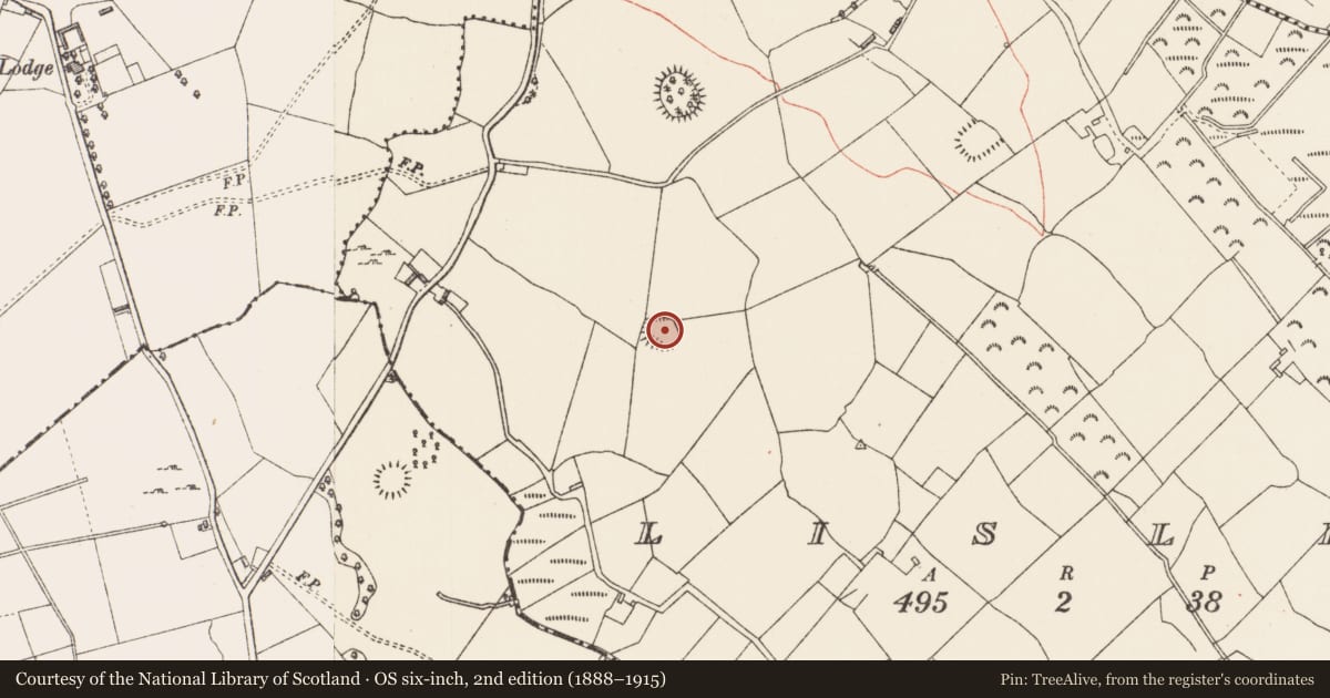 Ordnance Survey six-inch map, 2nd edition (1888–1915) covering the location of Ringfort - rath, Lislea, County Longford, with a pin at the register's coordinates