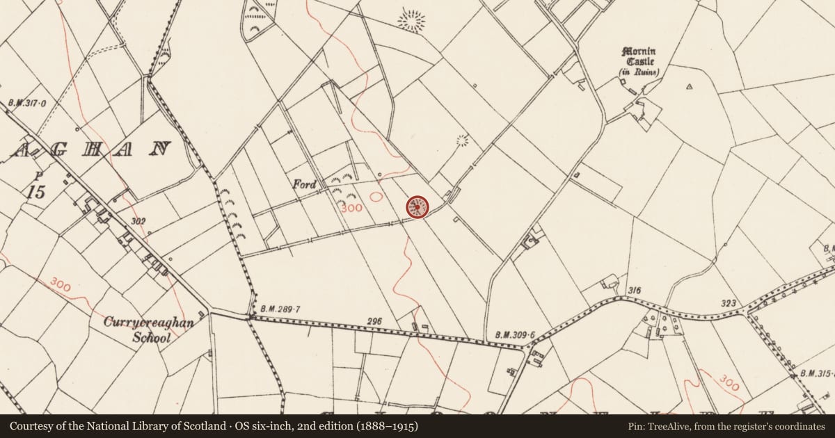 Ordnance Survey six-inch map, 2nd edition (1888–1915) covering the location of Ringfort - rath, Mornin, County Longford, with a pin at the register's coordinates