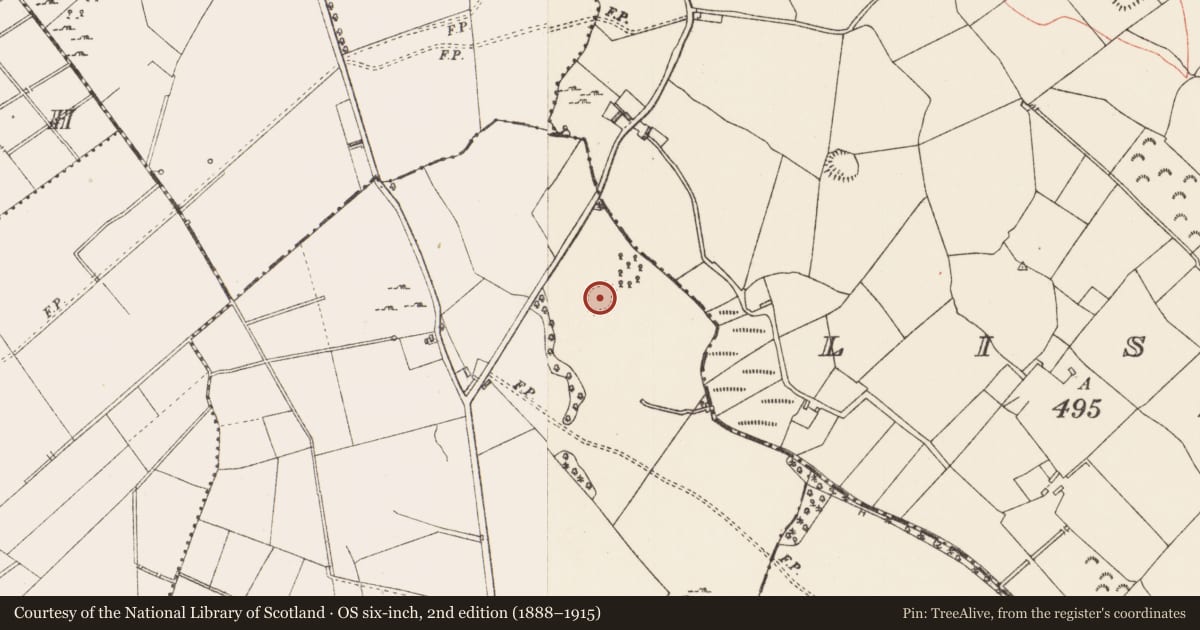 Ordnance Survey six-inch map, 2nd edition (1888–1915) covering the location of Enclosure, Cartronbrack, County Longford, with a pin at the register's coordinates