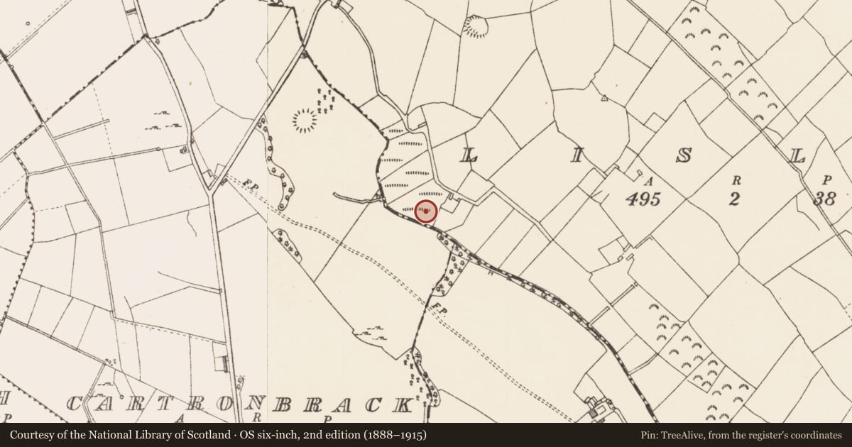 Ordnance Survey six-inch map, 2nd edition (1888–1915) covering the location of Burial ground, Lislea, County Longford, with a pin at the register's coordinates