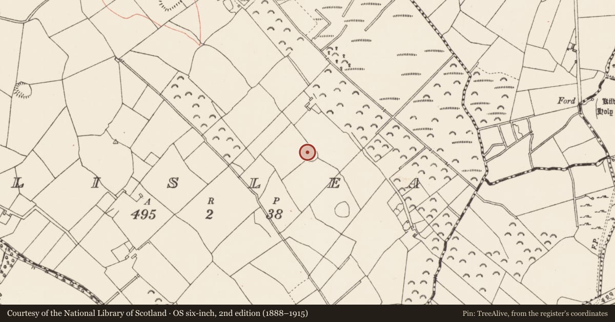 Ordnance Survey six-inch map, 2nd edition (1888–1915) covering the location of Ringfort - rath, Lislea, County Longford, with a pin at the register's coordinates