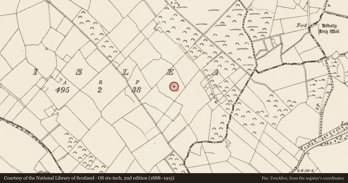Ordnance Survey six-inch map, 2nd edition (1888–1915) covering the location of Ringfort - rath, Lislea, County Longford, with a pin at the register's coordinates