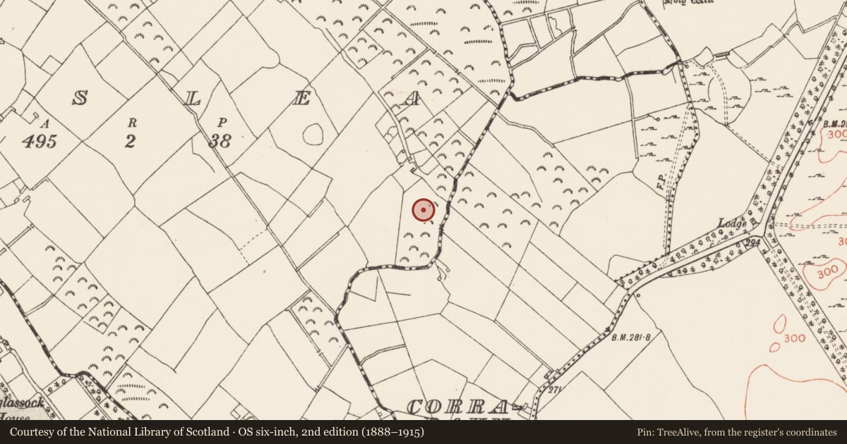 Ordnance Survey six-inch map, 2nd edition (1888–1915) covering the location of Ringfort - rath, Lislea, County Longford, with a pin at the register's coordinates