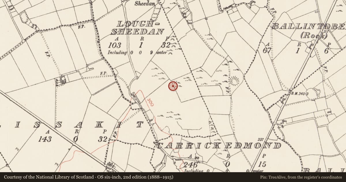 Ordnance Survey six-inch map, 2nd edition (1888–1915) covering the location of Ringfort - rath, Loughsheedan, County Longford, with a pin at the register's coordinates