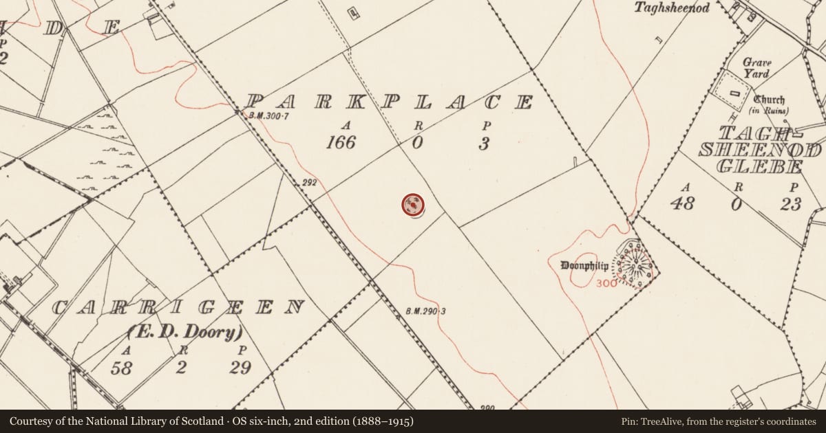Ordnance Survey six-inch map, 2nd edition (1888–1915) covering the location of Ringfort - rath, Parkplace, County Longford, with a pin at the register's coordinates