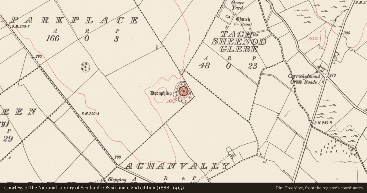 Ordnance Survey six-inch map, 2nd edition (1888–1915) covering the location of Castle - motte, Parkplace, Aghanvally, County Longford, with a pin at the register's coordinates