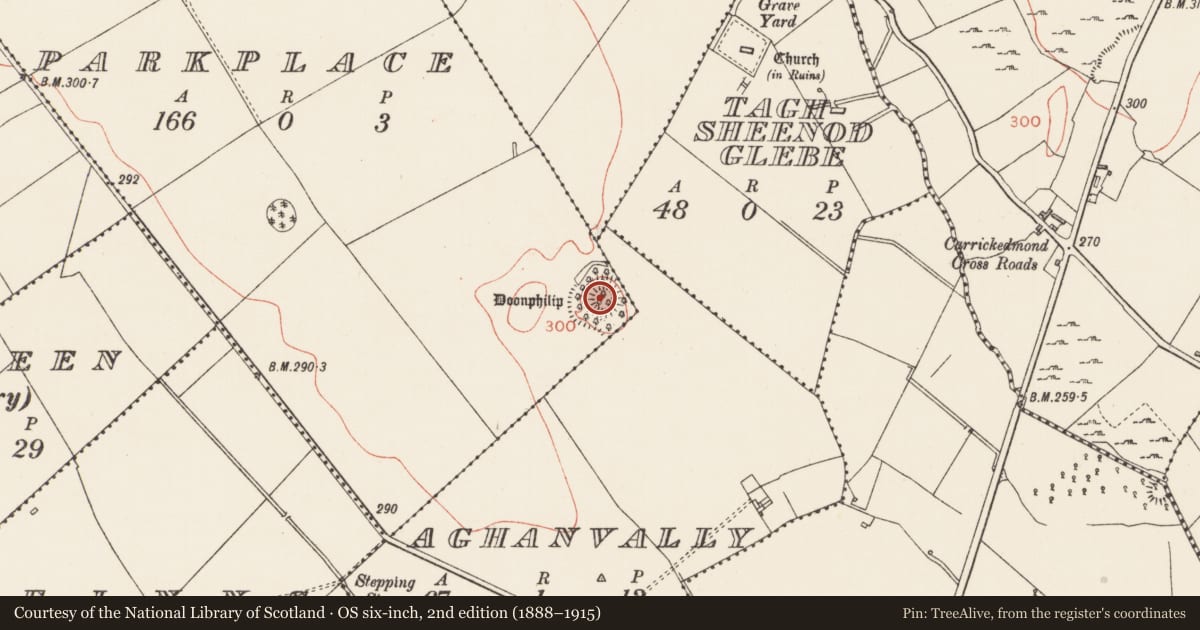 Ordnance Survey six-inch map, 2nd edition (1888–1915) covering the location of Ringfort - rath, Parkplace, Aghanvally, County Longford, with a pin at the register's coordinates
