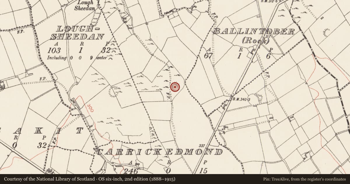 Ordnance Survey six-inch map, 2nd edition (1888–1915) covering the location of Ringfort - rath, Carrickedmond, County Longford, with a pin at the register's coordinates