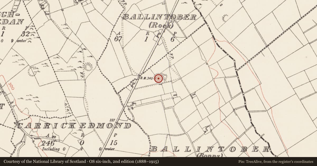 Ordnance Survey six-inch map, 2nd edition (1888–1915) covering the location of Ringfort - rath, Ballintober (Bonny), County Longford, with a pin at the register's coordinates