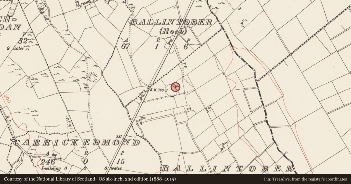 Ordnance Survey six-inch map, 2nd edition (1888–1915) covering the location of House - indeterminate date, Ballintober (Bonny), County Longford, with a pin at the register's coordinates