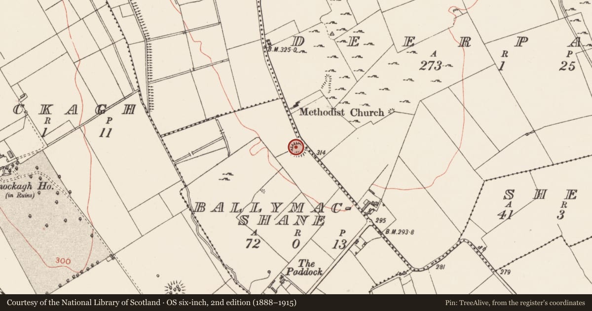 Ordnance Survey six-inch map, 2nd edition (1888–1915) covering the location of Ringfort - rath, Ballymacshane, Deerpark, County Longford, with a pin at the register's coordinates