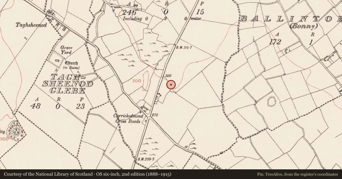 Ordnance Survey six-inch map, 2nd edition (1888–1915) covering the location of Ringfort - rath, Carrickedmond, County Longford, with a pin at the register's coordinates
