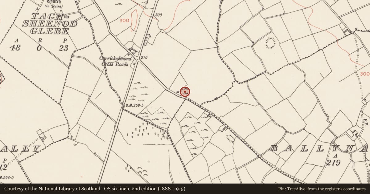 Ordnance Survey six-inch map, 2nd edition (1888–1915) covering the location of Ringfort - rath, Carrickedmond, County Longford, with a pin at the register's coordinates