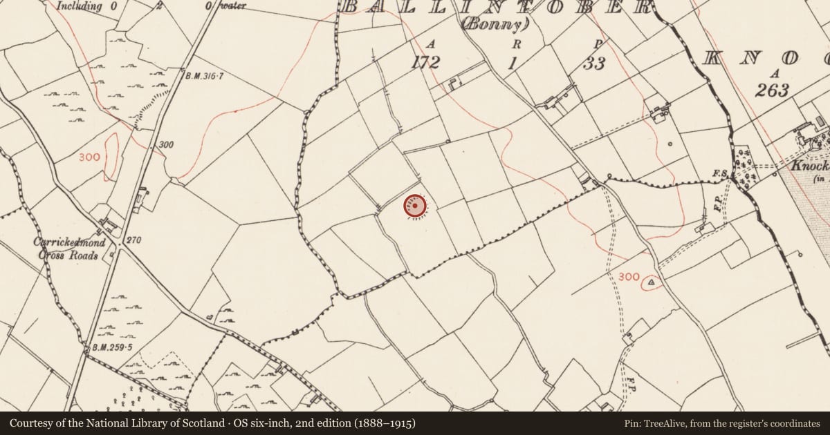 Ordnance Survey six-inch map, 2nd edition (1888–1915) covering the location of Ringfort - rath, Ballintober (Bonny), County Longford, with a pin at the register's coordinates