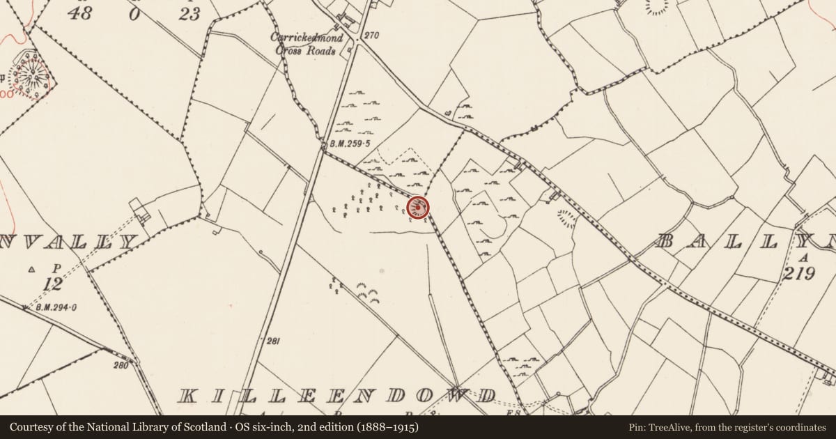 Ordnance Survey six-inch map, 2nd edition (1888–1915) covering the location of Ringfort - rath, Killeendowd, County Longford, with a pin at the register's coordinates