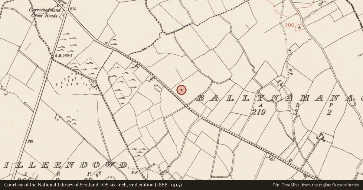 Ordnance Survey six-inch map, 2nd edition (1888–1915) covering the location of Ringfort - rath, Ballynamanagh, County Longford, with a pin at the register's coordinates