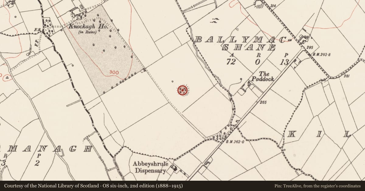 Ordnance Survey six-inch map, 2nd edition (1888–1915) covering the location of Ringfort - rath, Knockagh, County Longford, with a pin at the register's coordinates