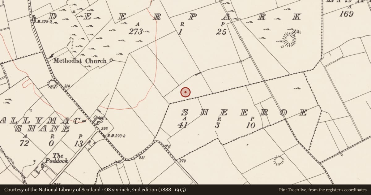 Ordnance Survey six-inch map, 2nd edition (1888–1915) covering the location of Ringfort - rath, Deerpark, County Longford, with a pin at the register's coordinates