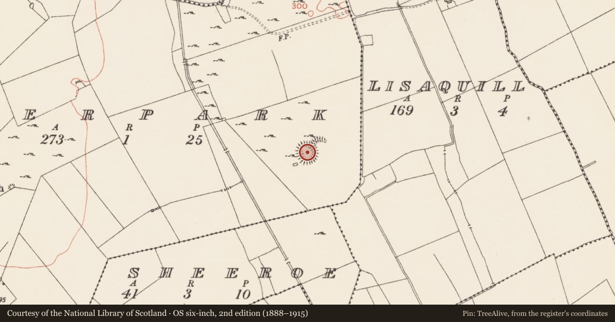 Ordnance Survey six-inch map, 2nd edition (1888–1915) covering the location of Ringfort - cashel, Deerpark, County Longford, with a pin at the register's coordinates