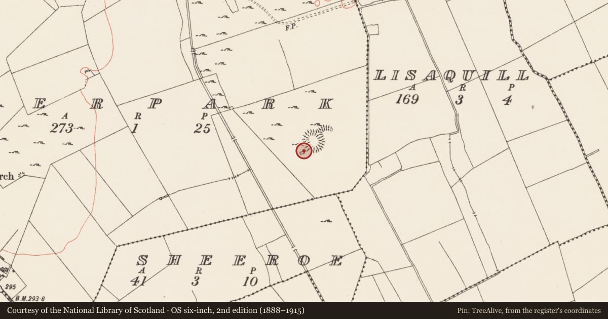Ordnance Survey six-inch map, 2nd edition (1888–1915) covering the location of House - indeterminate date, Deerpark, County Longford, with a pin at the register's coordinates