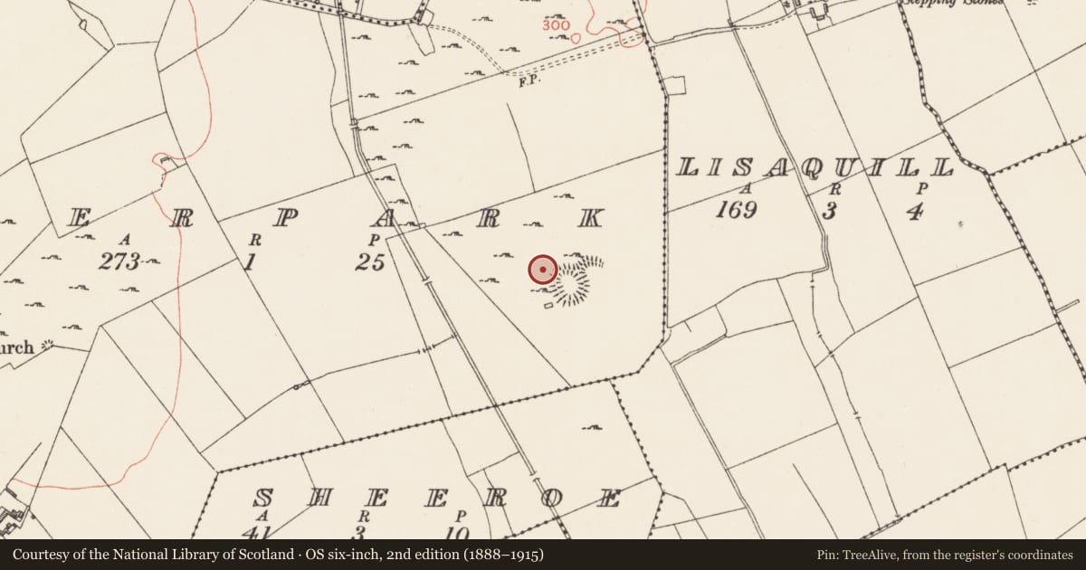 Ordnance Survey six-inch map, 2nd edition (1888–1915) covering the location of House - indeterminate date, Deerpark, County Longford, with a pin at the register's coordinates