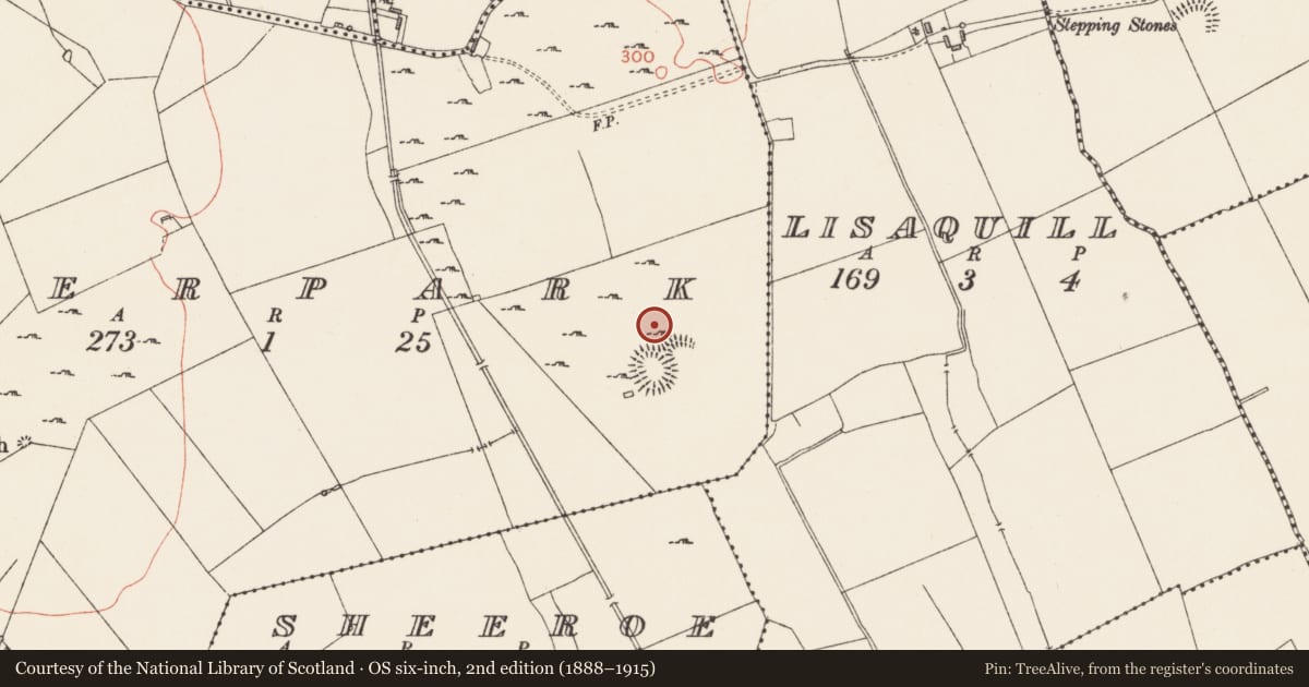 Ordnance Survey six-inch map, 2nd edition (1888–1915) covering the location of Field system, Deerpark, County Longford, with a pin at the register's coordinates