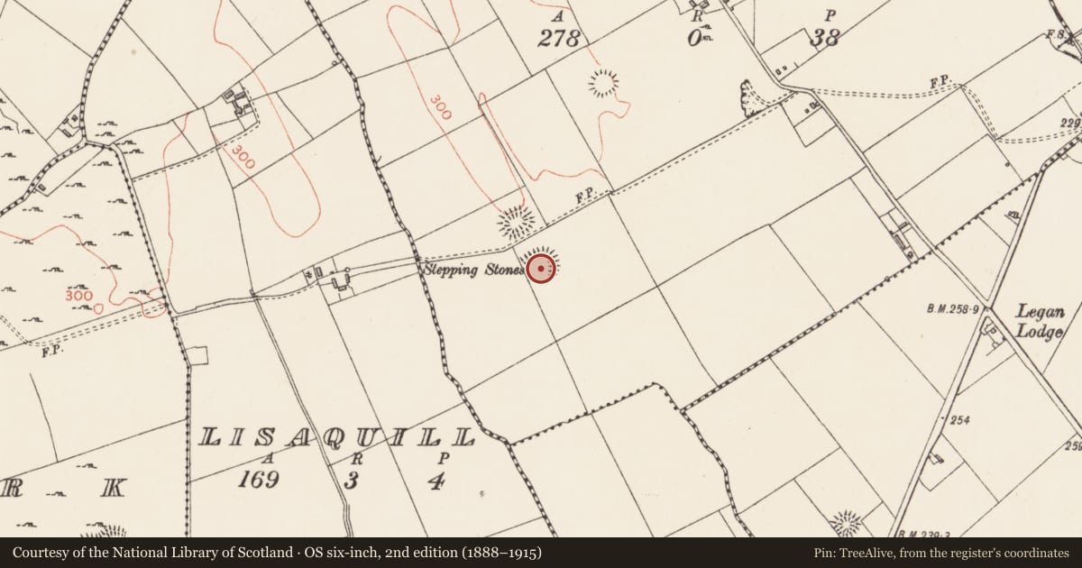 Ordnance Survey six-inch map, 2nd edition (1888–1915) covering the location of Ringfort - rath, Legan, County Longford, with a pin at the register's coordinates